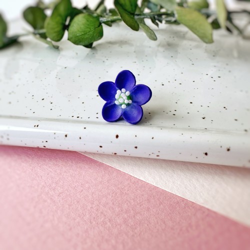 Segė Žibutė|SEG-22